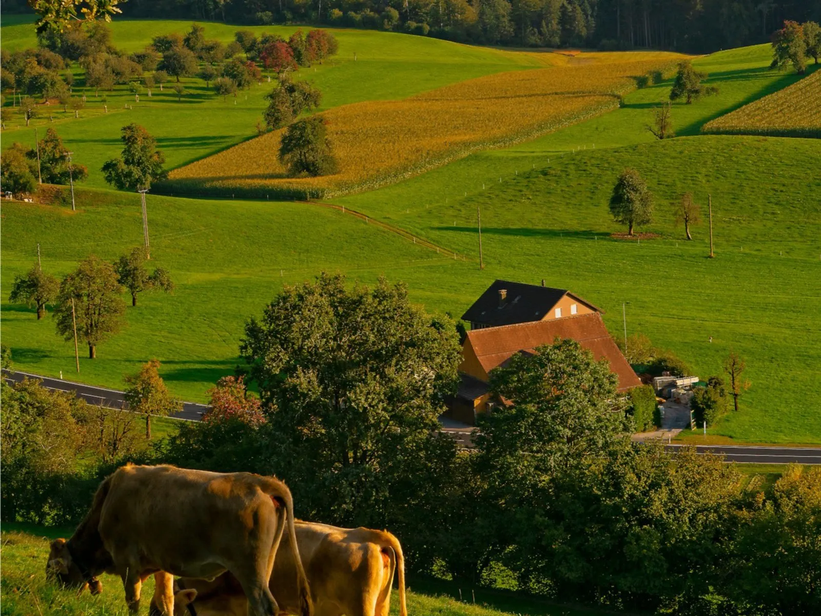 Sell your farm in British Columbia – farmland, acreage, and rural properties